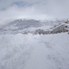 Apri la cartella di questa categoria